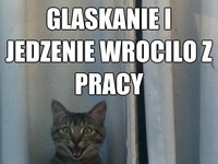 Głaskanie i jedzenie wróciło!