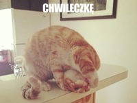 chwileczkę
