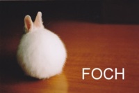 Foch :D