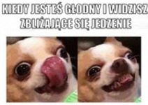 Głodomor