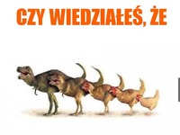 Już wiemy z czego ewaluował KURCZAK! XD