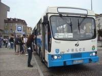 Blondynki i autobus