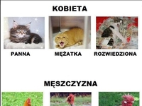 Cała prawda o kobietach i meżczyznach