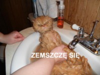 Zemszczę się