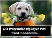 Dla wszystkich Pań!