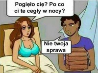 Po co ci te cegły