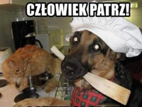 Człowiek patrz
