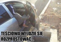 Teściowa wyjdzie