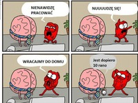 Serce i mózg! :D