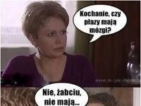 Czy płazy mają mózgi?