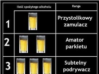 Ilość spożytego alkoholu. ZOBACZ jaka RANGA pasuje do ciebie! :D