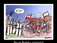 To są właśnie Polacy...