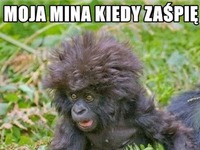 Kiedy zaśpię