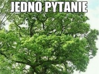 Jedno pytanie