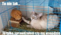 to nie tak...