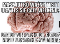 Szkoda by było