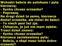 Wchodzi babcia do autobusu i ...  Zobacz skąd miała te orzechy :D