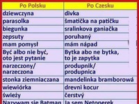 Słownik polsko-czeski! ALE BEKA ;D