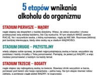 5 etapów wnikania alkoholu do organizmu :D