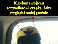 Mniej groźny