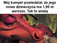 Tak to widzę