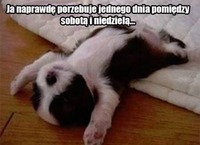 Ja naprawdę potrzebuje jednego dnia pomiędzy sobotą i niedzielą...