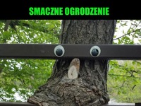 Smaczne