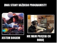 Każdy kuc tak ma