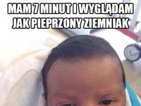 Ziemniak XD