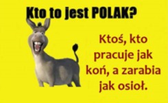 Kto to jest polak