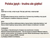 POLSKI język nie jest łatwy! PRZECZYTASZ TO? ;)