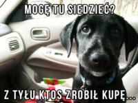 Mogę tu siedzieć :D