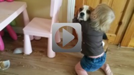 Winny pies i reakcja dziecka na jego zbrodnie