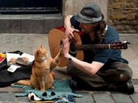 Bezdomny muzyk i rudy kot - wzruszająca historia :)