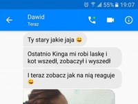 kot zna się na rzeczy
