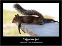 najgorsze