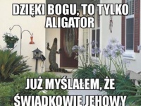 Dzięki Bogu, to tylko aligator