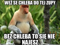 bez chleba