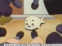 Kiedy wracasz do domu