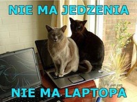 Nie ma laptopa