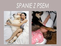 Spanie z psem