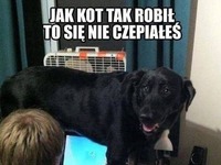 Jak kto tak robił to się nie czepiałeś