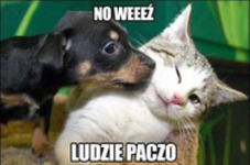 Ludzie paczo