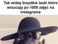 Tak widzę brzydkie laski