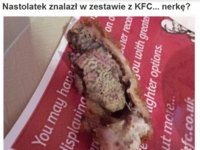 Zobacz co student znalazł w zestawie KFC! To NIEWIARYGODNE!