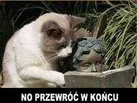 Najwolniej na świecie