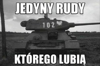 Jedyny rudy