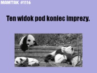 Koniec imprezy