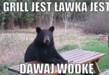 Dawaj wódkę