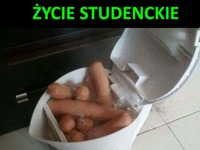 Życie studenckie